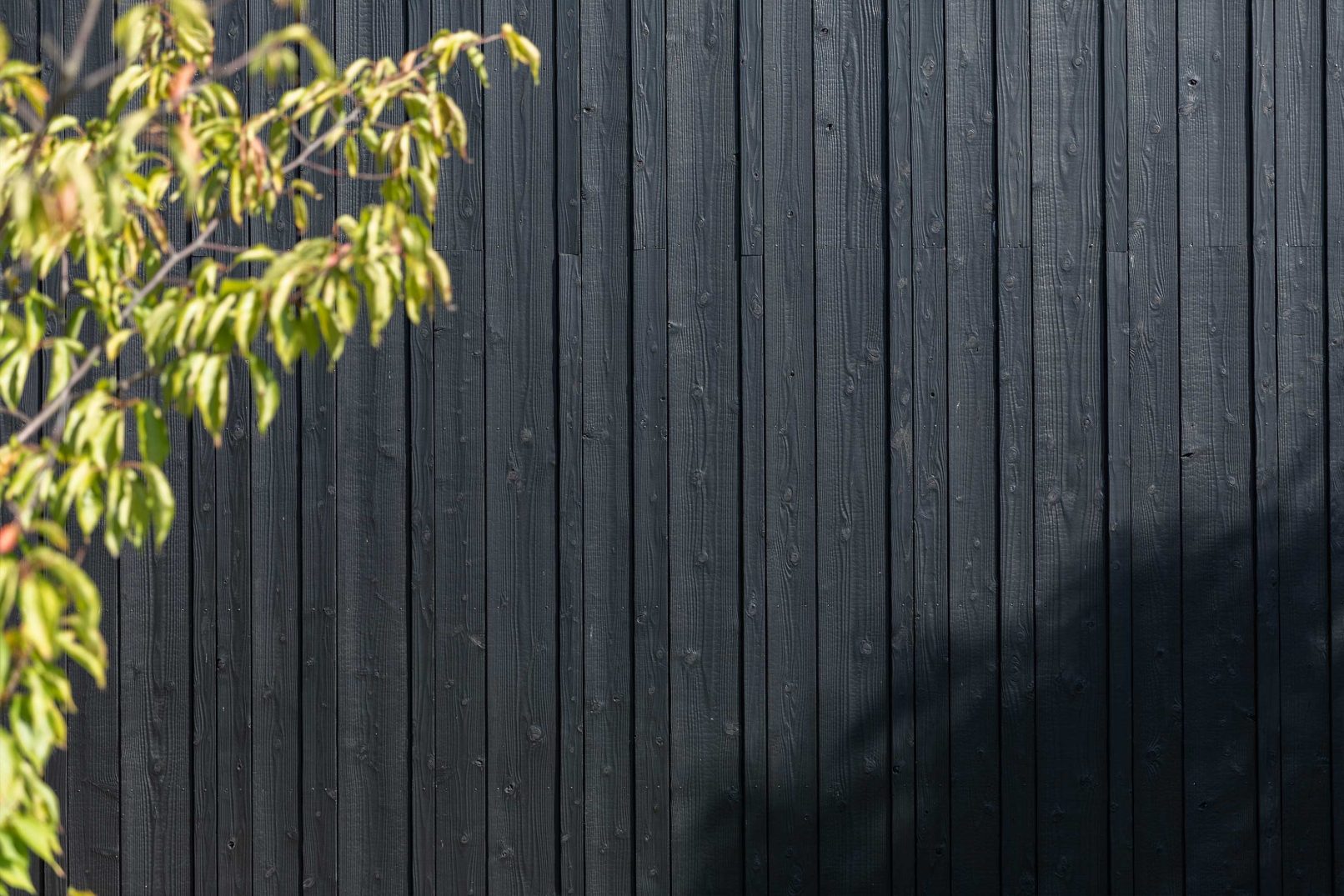 Yakisugi a.k.a Shousugiban charred cedar exterior wall with natural tree shadow.