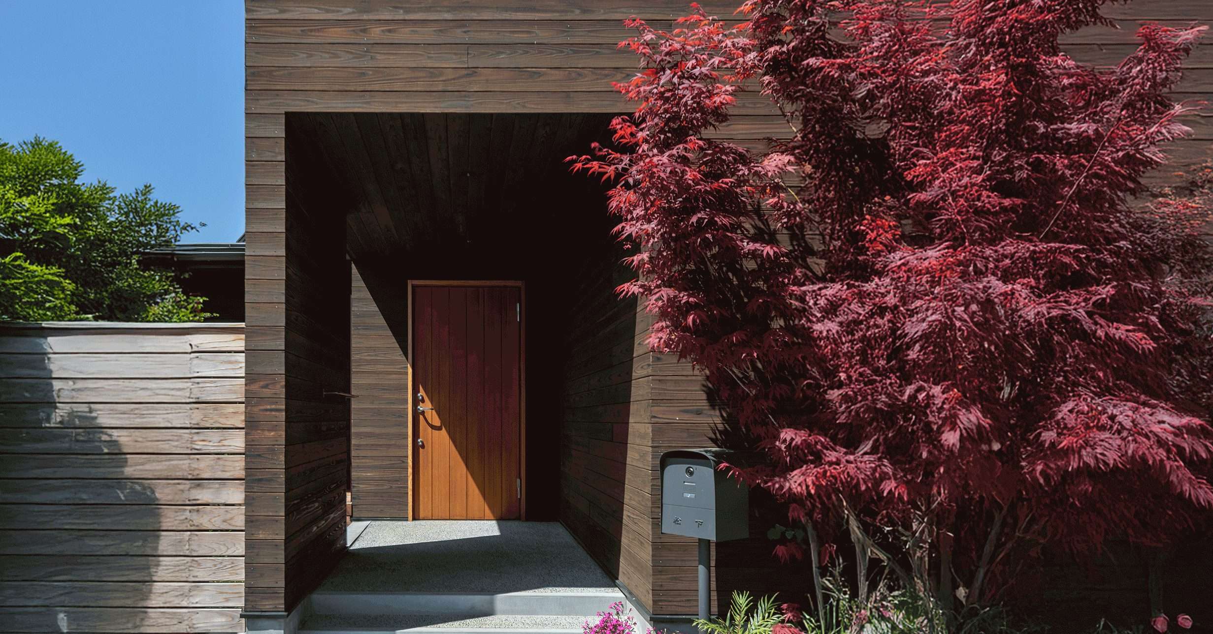 Benii Yakisugi Cedar Cladding Residential entrance clad with Benii Yakisugi a.k.a Shousugiban cedar timber exterior cladding.