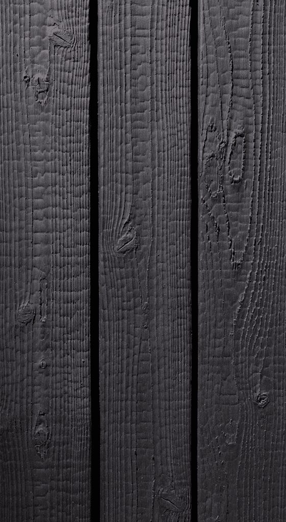 Charred timber wall with greenery backdrop