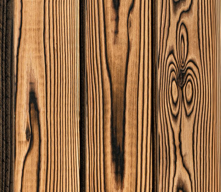 Close-up of Sumii Natural Yakisugi a.k.a Shousugiban cedar timber cladding showing charred cedar grain pattern.