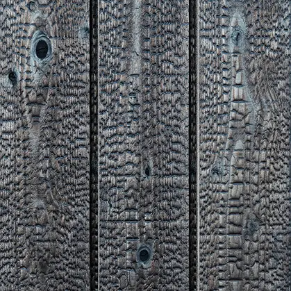 Hakuu Natural Yakisugi a.k.a Shousugiban Japanese cedar cladding showing deep charred texture and dramatic wood grain.