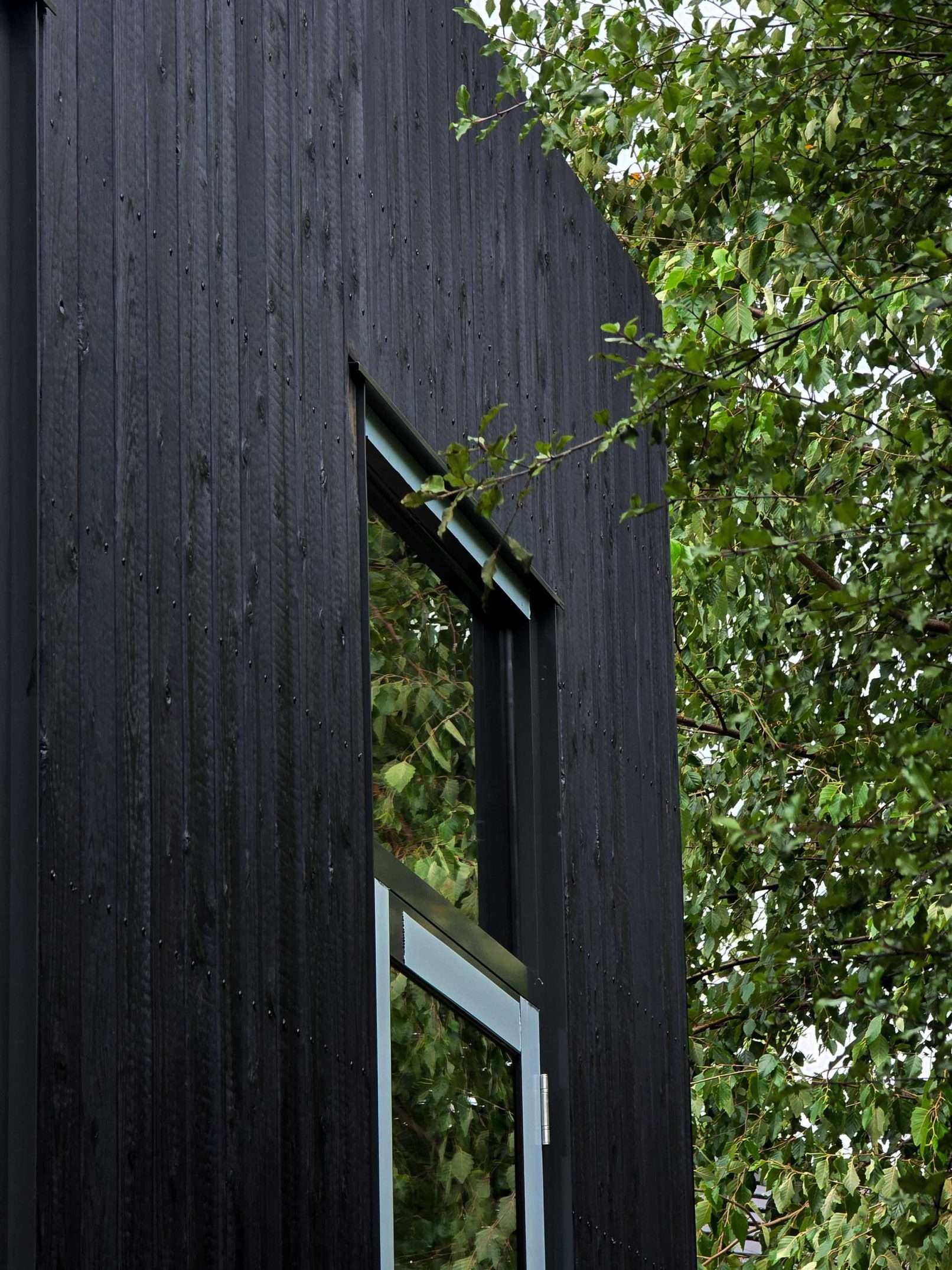 Vertical Hakuu Black charred timber boards at the upper corner of Glen Iris House, framed by garden trees